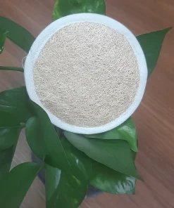 BÔNG MASSAGE XƠ MƯỚP 2 MẶT XƠ-TRÒN-12CM