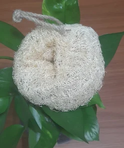 BÔNG TẮM XƠ MƯỚP NGUYÊN TRÁI-NGUYÊN TRÁI-23-24CM