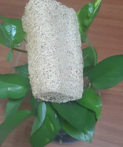 XƠ KHÚC SIZE L-13CM