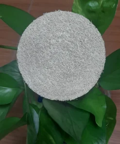 LÓT LY XƠ MƯỚP KHÔNG VIỀN - Size 8,8cm