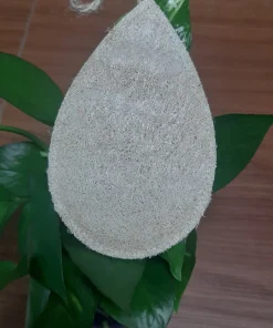MIẾNG RỬA BÁT XƠ MƯỚP-GIỌT NƯỚC-10*15CM