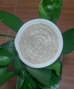 LÓT LY XƠ MƯỚP CÓ VIỀN - Size 9cm