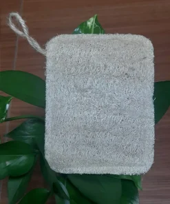 TÚI ĐỰNG XÀ BÔNG KO VIỀN - CN - 11*13CM
