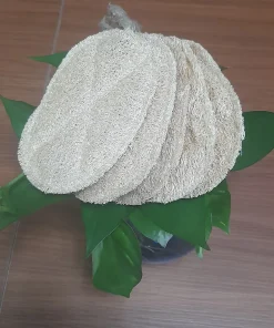 COMBO 5 MIẾNG XƠ MƯỚP-OVAL-9*13CM