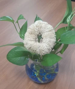 BÙI NHÙI XƠ MƯỚP