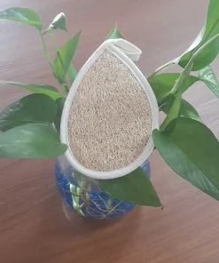 BÔNG TẮM XƠ MƯỚP 1 MẶT XƠ-GIỌT NƯỚC-10*15,5CM