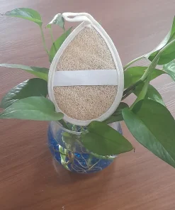 BÔNG TẮM XƠ MƯỚP 2 MẶT XƠ-GIỌT NƯỚC-10*15,5CM