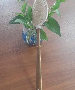 CÂY KỲ LƯNG XƠ MƯỚP-CÁN 38CM-11*15CM